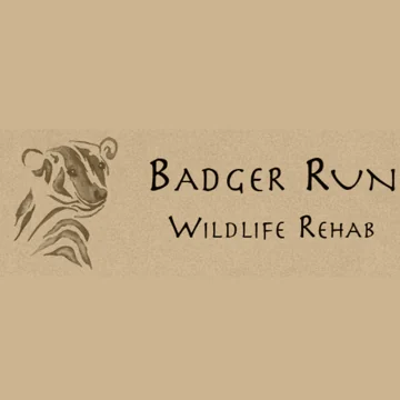 Badger Run logo